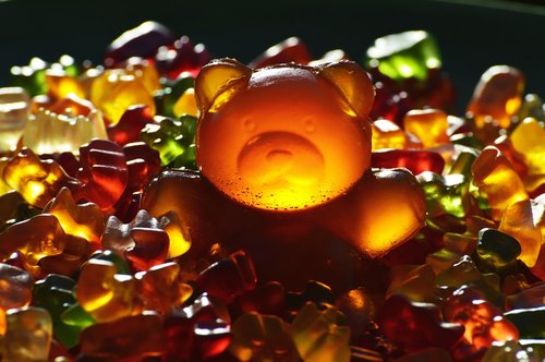 gummibärchen  giant rubber bear  sugar