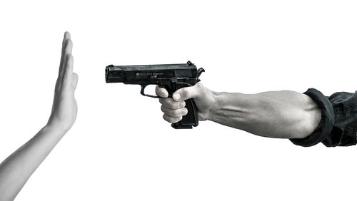 gun  control  violence