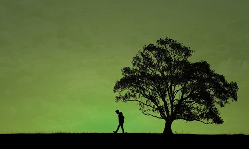 guy  the tree  silhouette