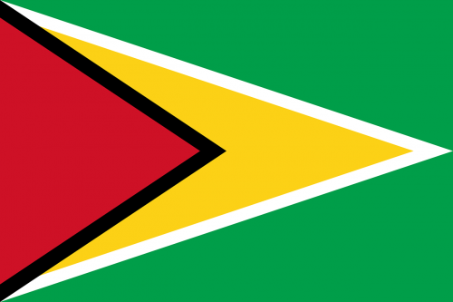 guyana flag national flag