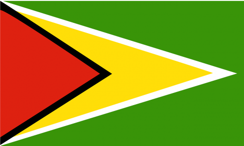 guyana flag country