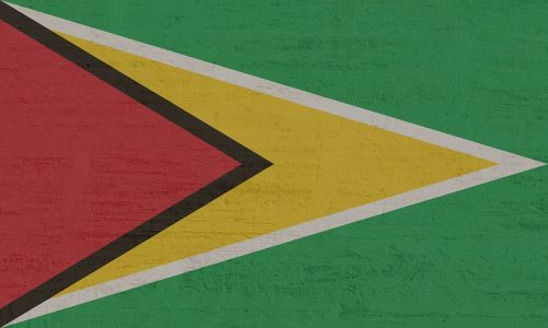 guyana flag south america