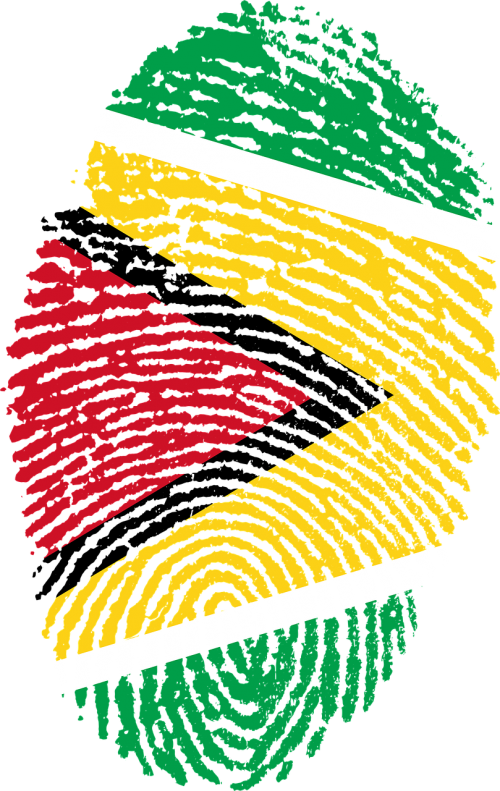 guyana flag fingerprint