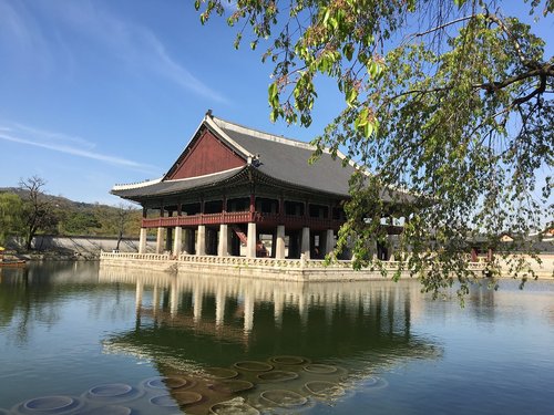 gyeongbok palace  republic of korea  forbidden city