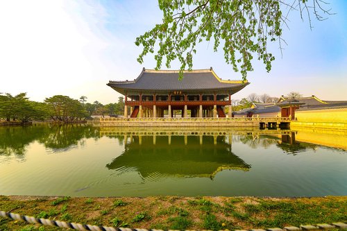 gyeongbok palace  gyeonghoeru  spring