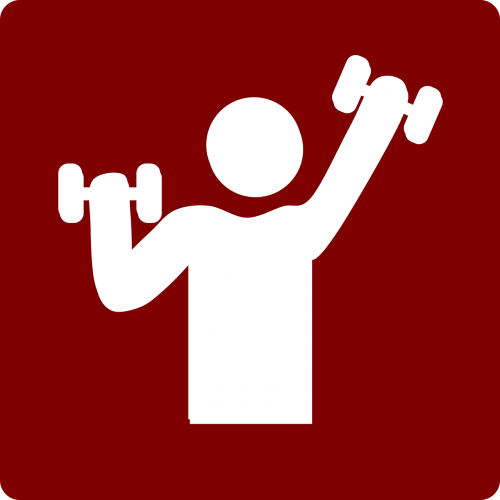 gym weight lifting training