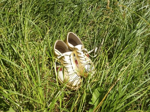 gym shoes grass summer holiday