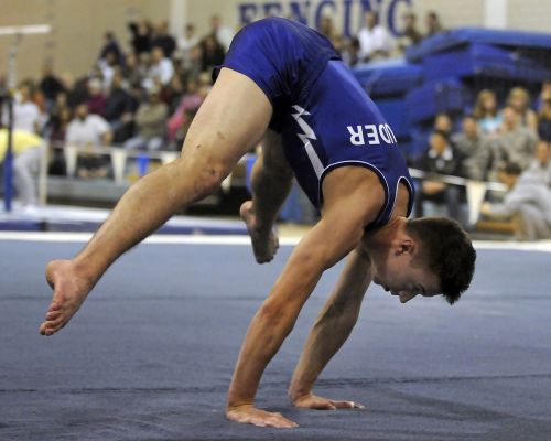 gymnastics male performance