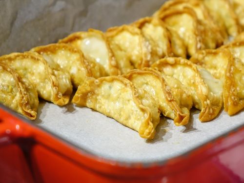 gyoza dumplings fried