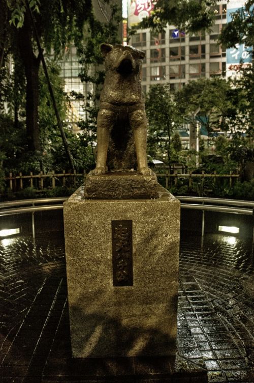 Hachikō Statue