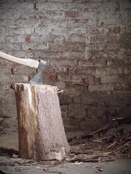 hack stock wood ax