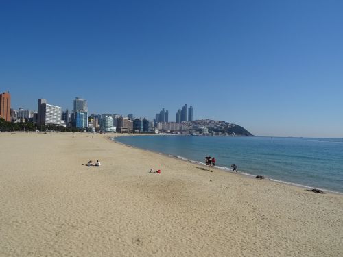 haeundae beach bathing beach busan