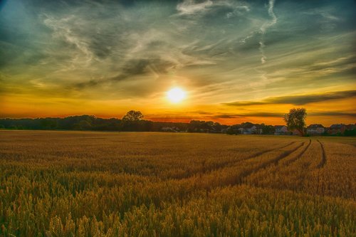 hagenbach  fields  summer