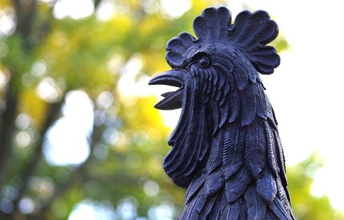 hahn  crow  sculpture