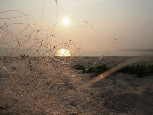 hai bian fishing nets the evening sun