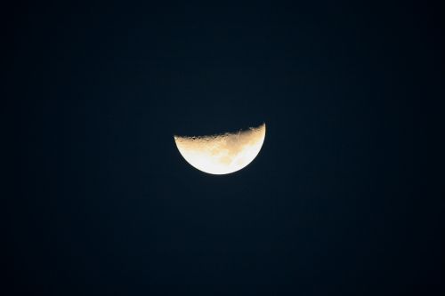 Half Moon In Night Sky