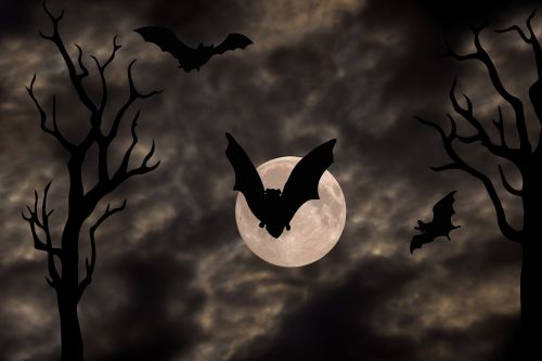 halloween gloomy full moon