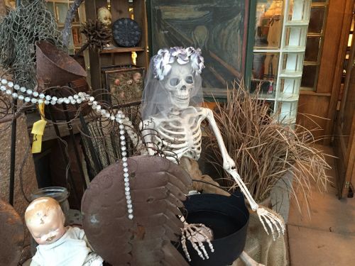 halloween death skeleton