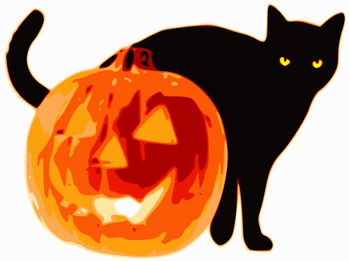halloween animal cat