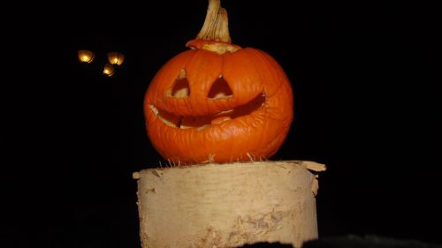halloween pumpkin halloween pumpkin