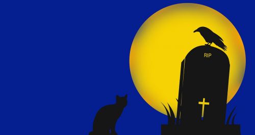 halloween cemetery cat