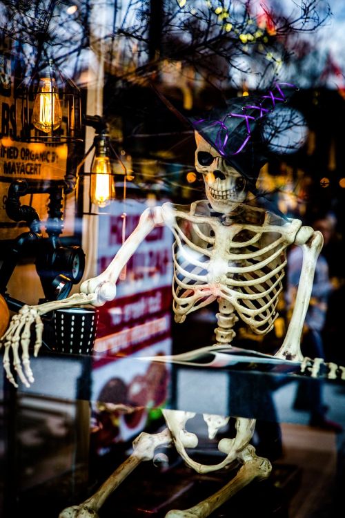 halloween skeleton spooky