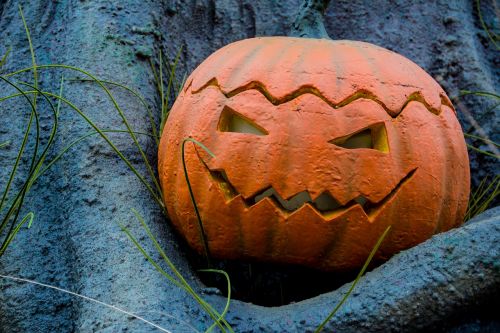 halloween autumn pumpkin