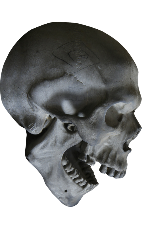 halloween skull skeleton