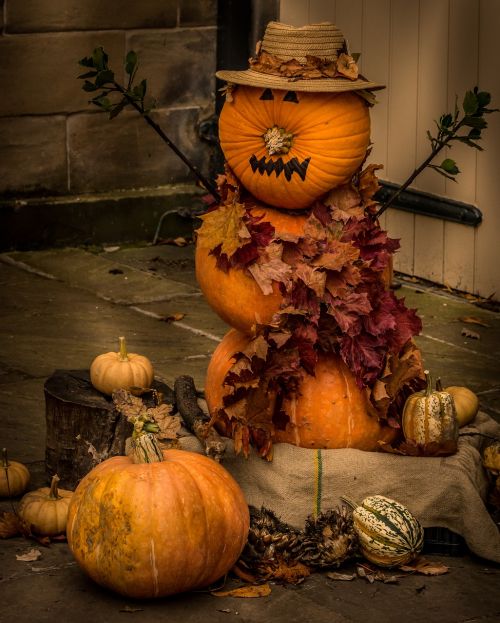 halloween seasonal pumpkin