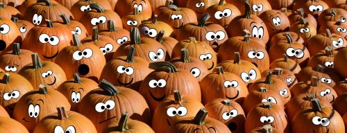 halloween halloweenkuerbis halloween pumpkins