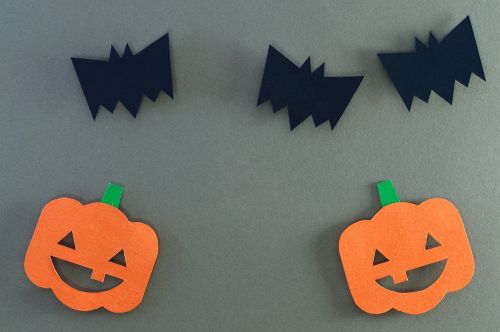 halloween bat pumpkin