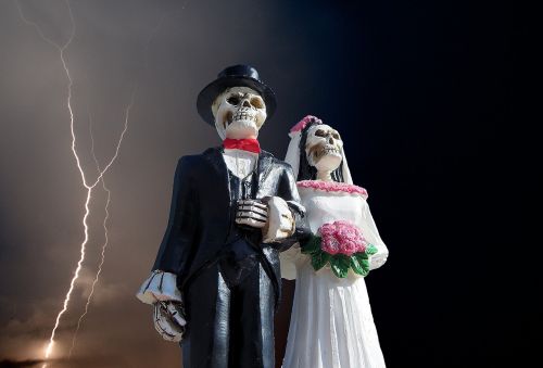 halloween skeleton wedding