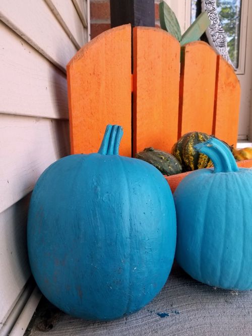 halloween pumpkins teal pumpkin