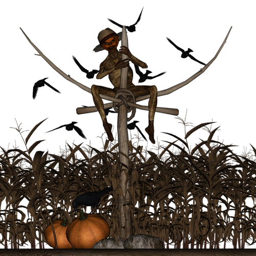 halloween  scarecrow  pumpkin