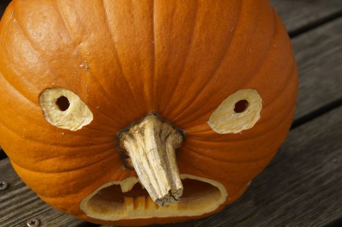 halloween pumpkin pumpkin ghost
