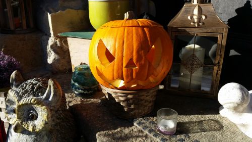 halloween pumpkin october