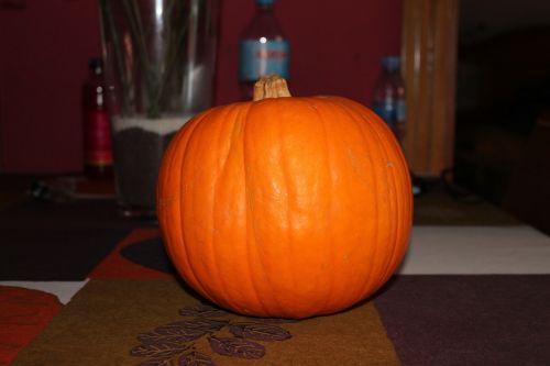 halloween pumpkin witch