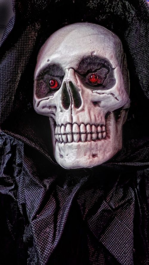 halloween mask skull