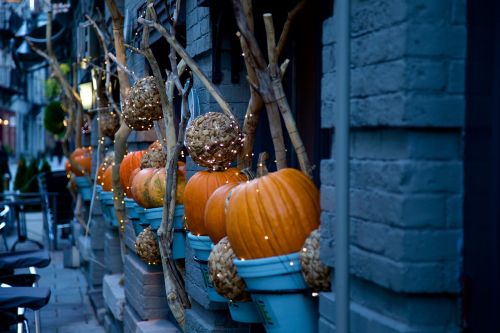 halloween decorating pumpkin fall