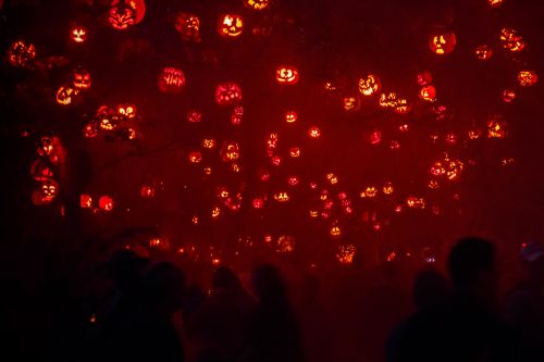 Halloween Jack O&#039;Lanterns