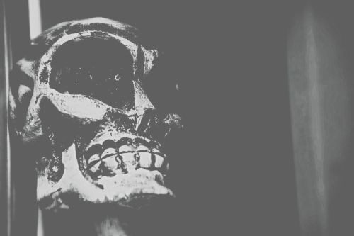 Halloween Skull Background