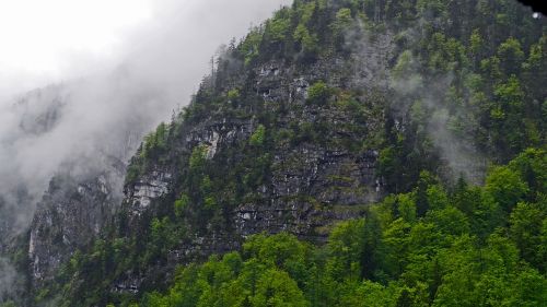 hallstatt mountainside after the rain
