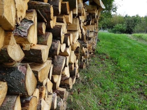 halzstapel tree trunks firewood stack