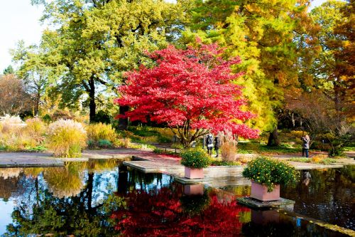 hamburg park autumn colours
