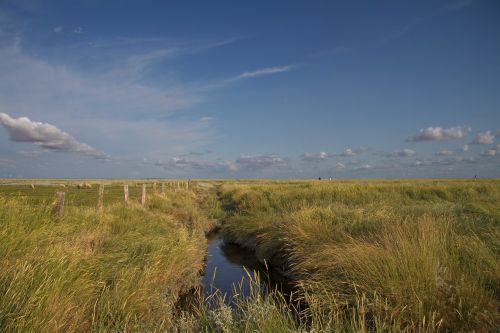 hamburger hallig wadden sea north sea