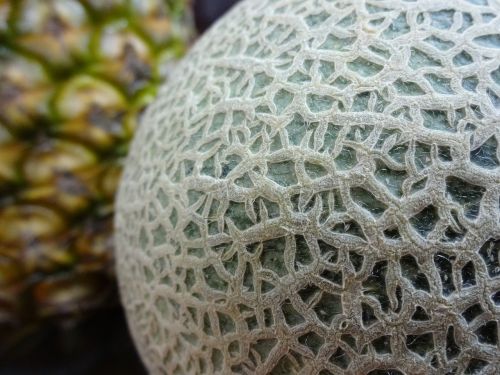 hami fruit fruits close-up