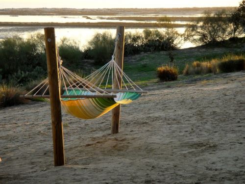 hammock beach biotope