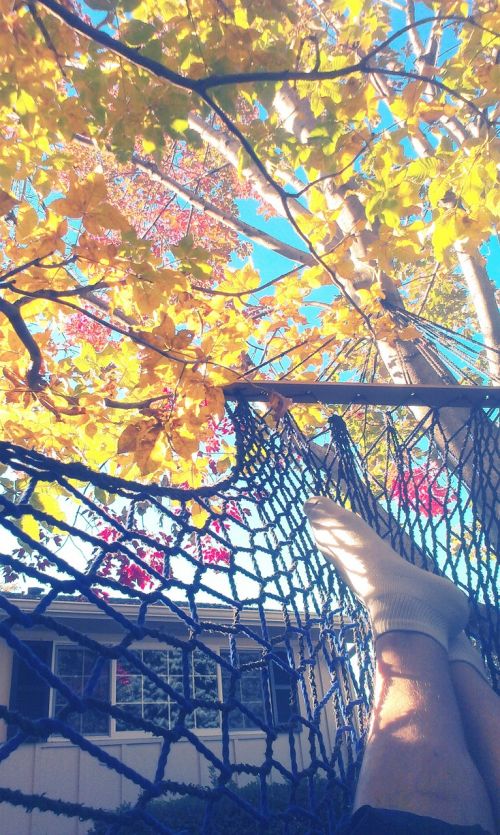 hammock foot tree