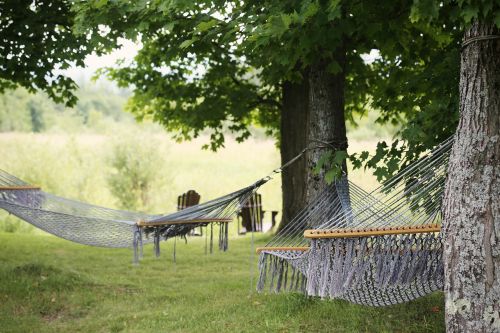 hammocks trees summer