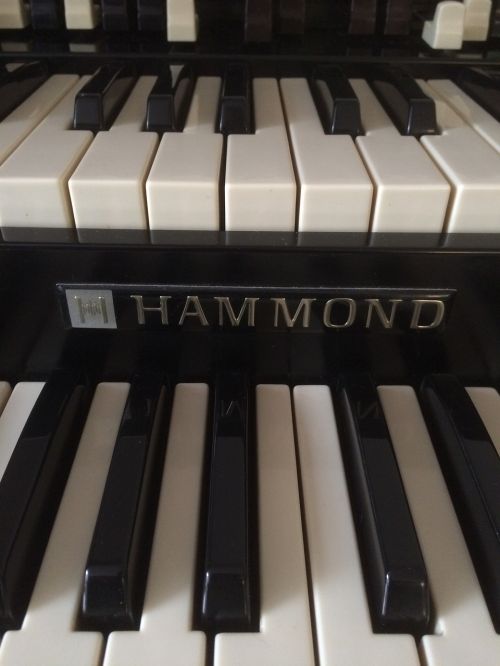 hammond organ keys